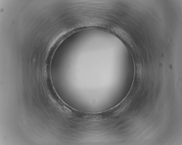 X0000074300676200609151942