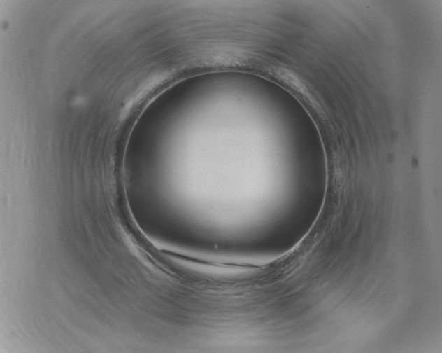 X0000074300677200609151942