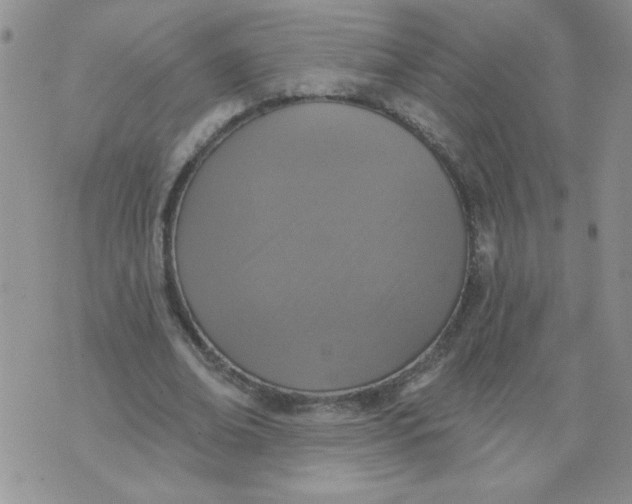 X0000074300678200609151942