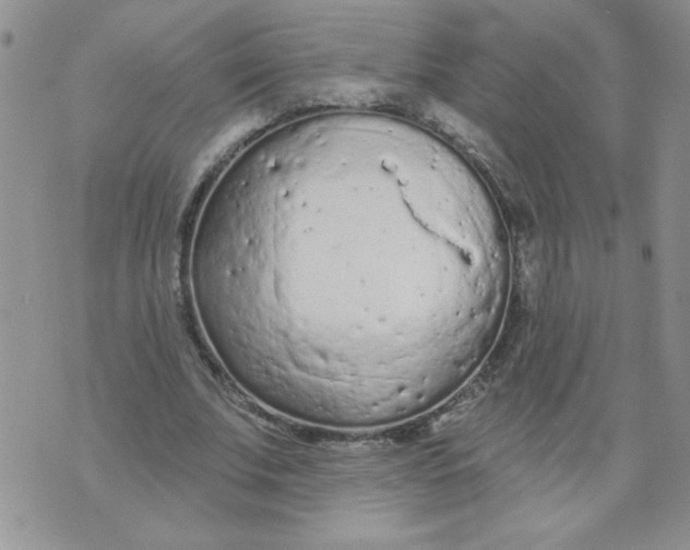 X0000074300679200609151942