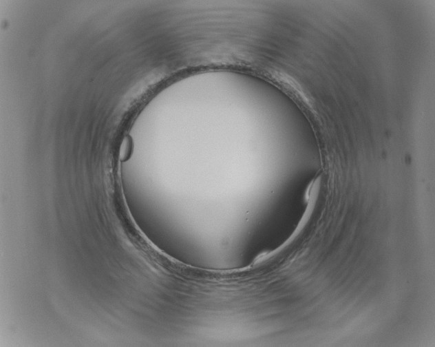 X0000074300680200609151942