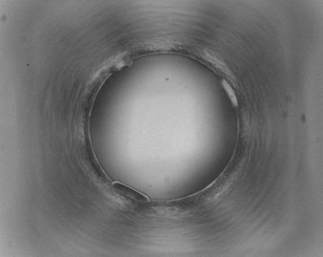 X0000074300681200609151942