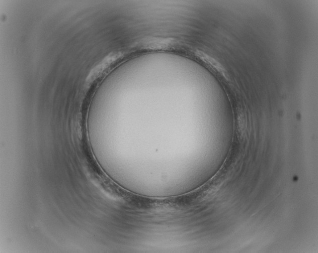 X0000074300682200609151942