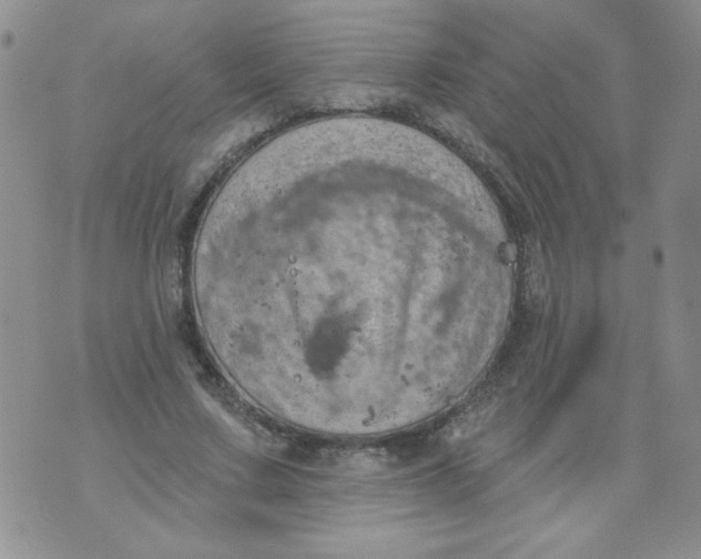 X0000074300683200609151942