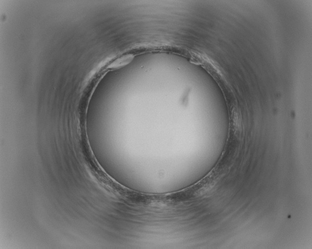 X0000074300684200609151942