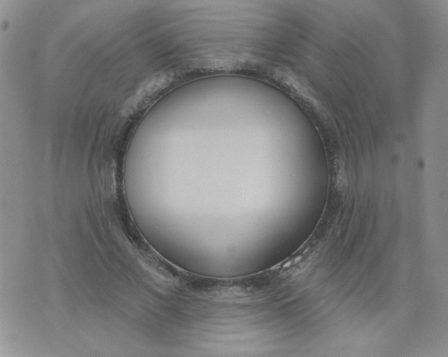 X0000074300685200609151942