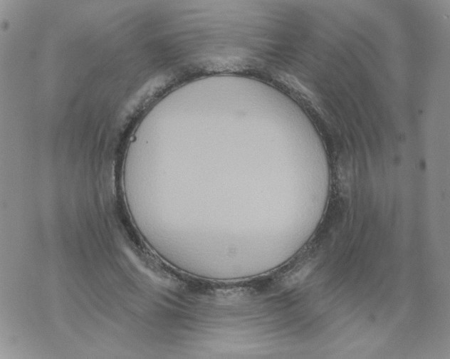 X0000074300686200609151942