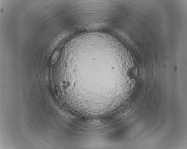 X0000074300687200609151942