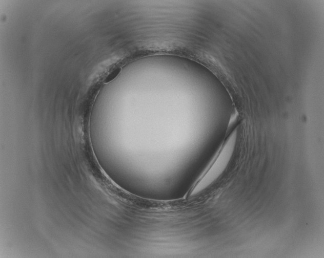 X0000074300688200609151942