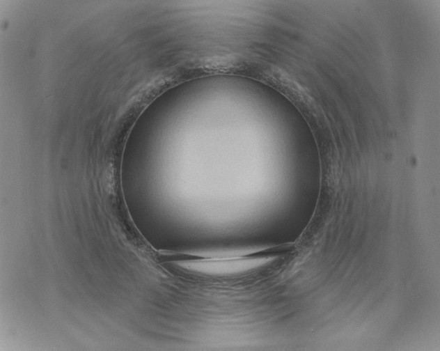 X0000074300689200609151942