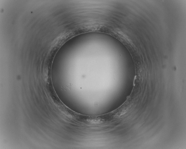 X0000074300693200609151942