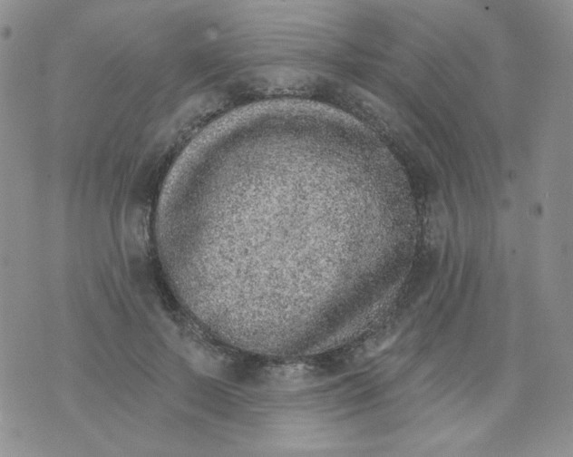 X0000074300695200609151942