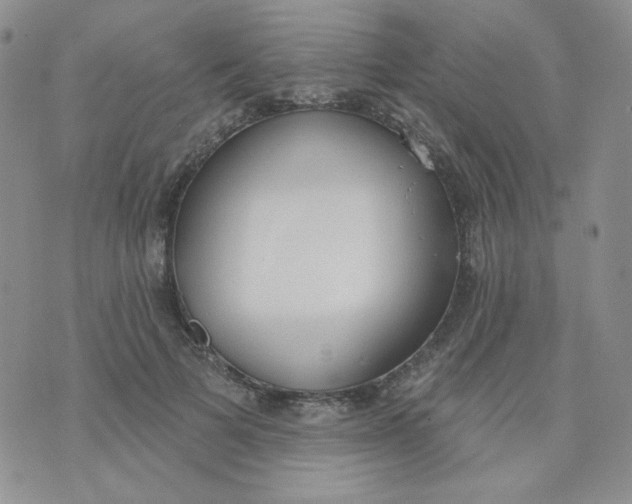 X0000074300697200609151942