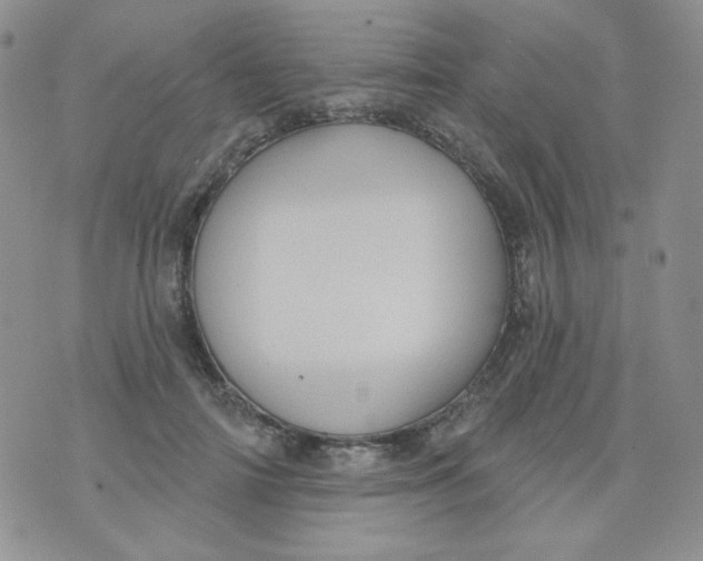 X0000074300698200609151942