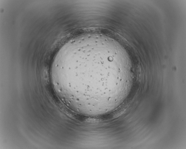 X0000074300699200609151942