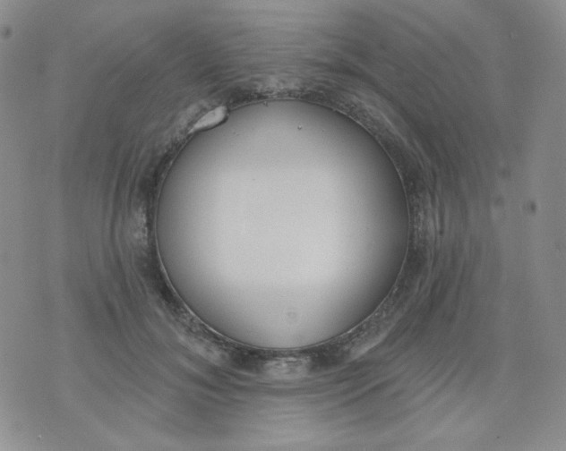 X0000074300700200609151942