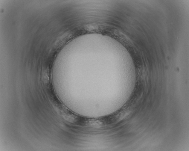 X0000074300702200609151942