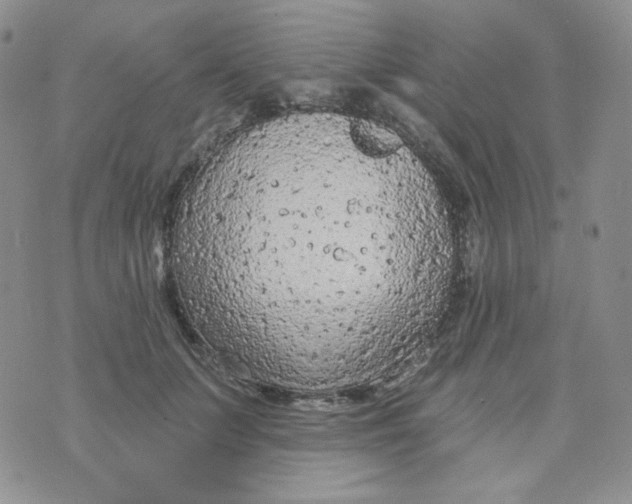 X0000074300703200609151942