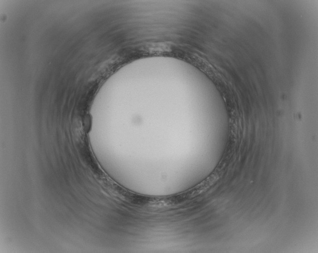 X0000074300704200609151942