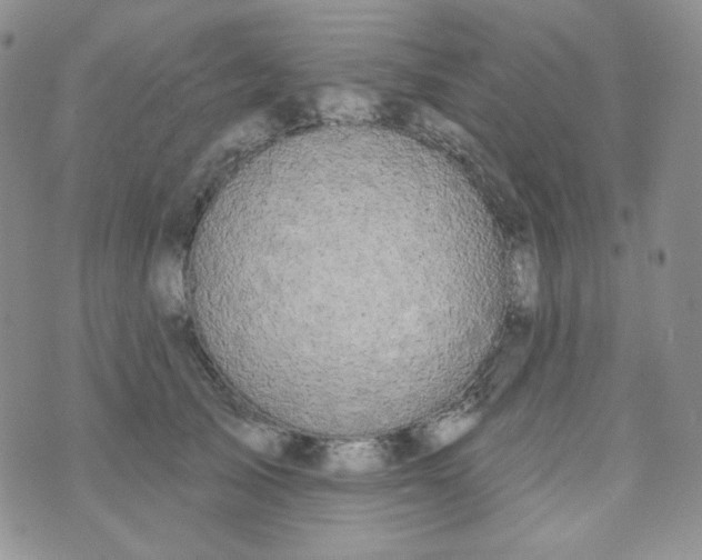 X0000074300705200609151942