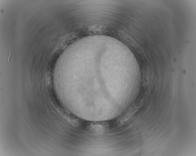 X0000074300706200609151942