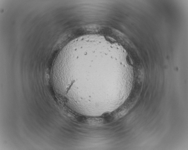 X0000074300707200609151942