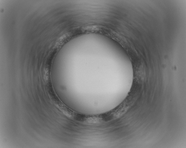 X0000074300708200609151942