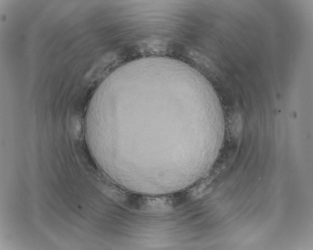 X0000074300709200609151942