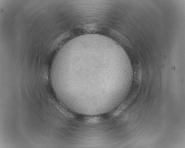 X0000074300710200609151942