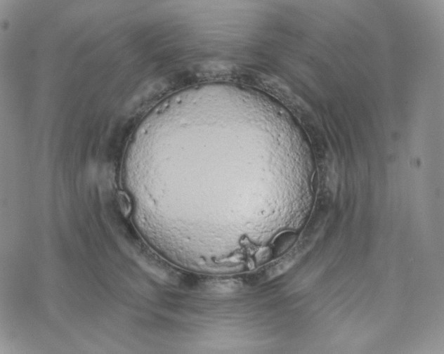 X0000074300711200609151942