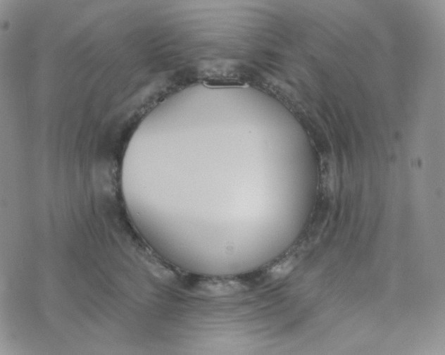 X0000074300712200609151942