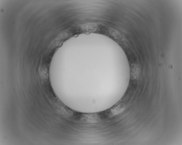 X0000074300713200609151942