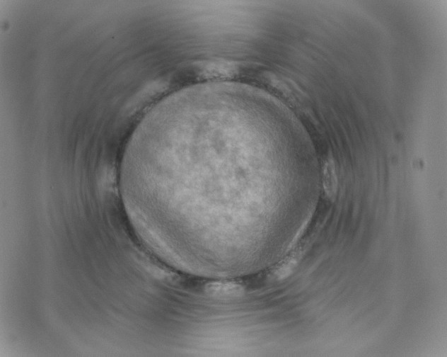 X0000074300714200609151942