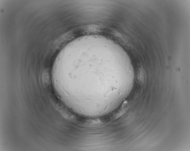 X0000074300715200609151942