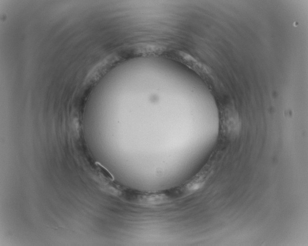 X0000074300716200609151942