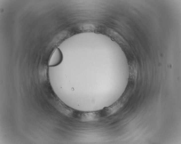 X0000074300717200609151942