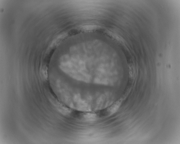 X0000074300718200609151942