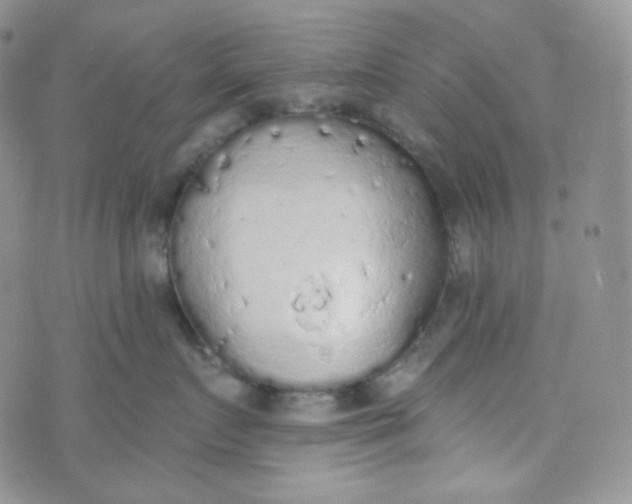 X0000074300719200609151942