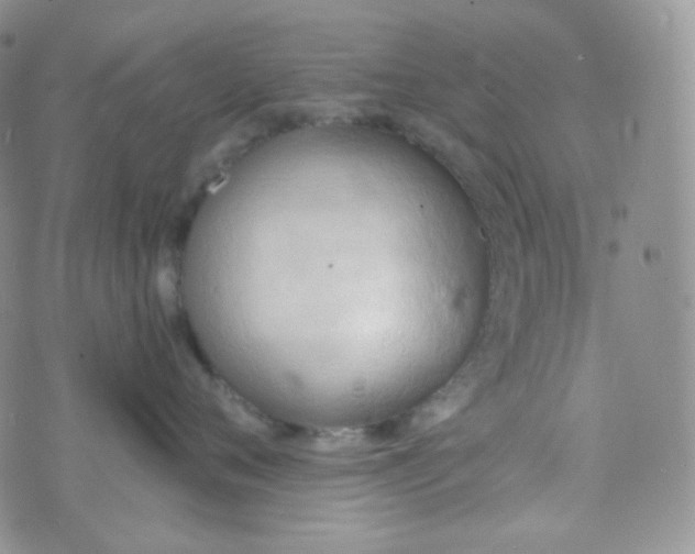 X0000074300720200609151942