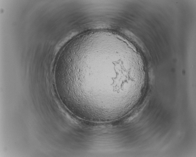 X0000074300721200609151941