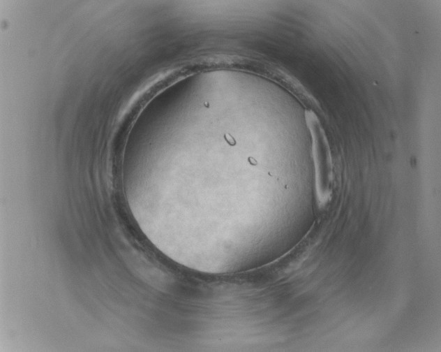 X0000074300722200609151941