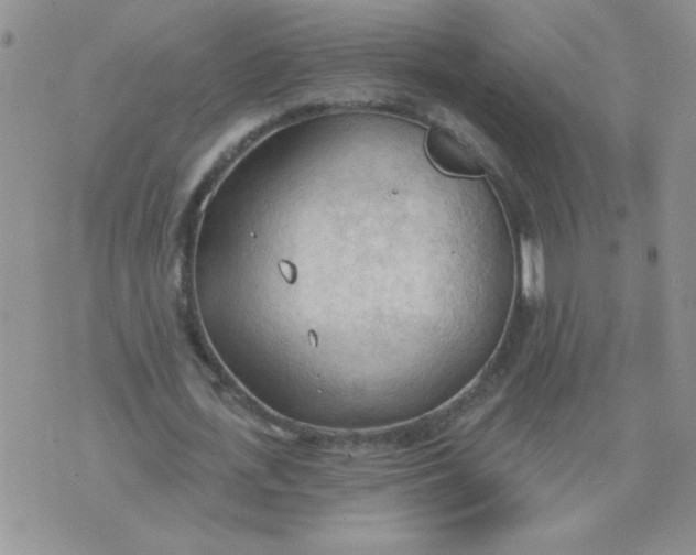 X0000074300723200609151941