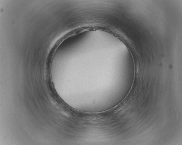 X0000074300724200609151941