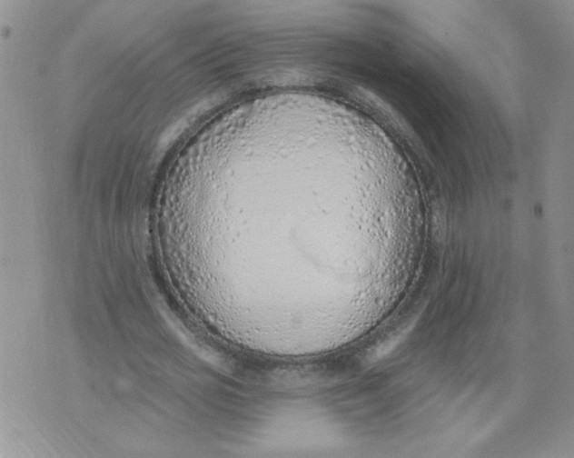 X0000074300725200609151941