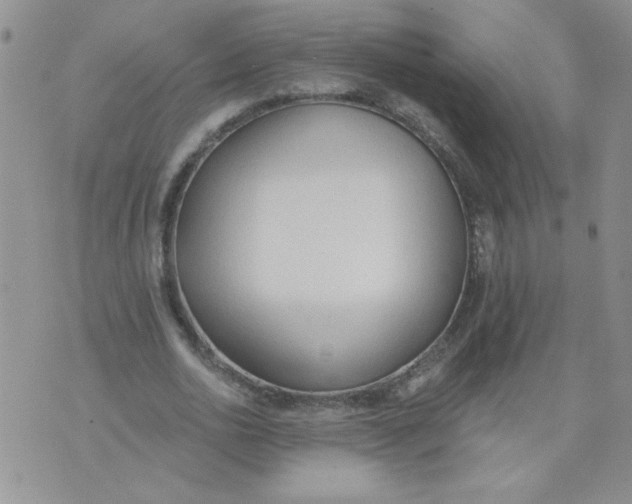 X0000074300726200609151941