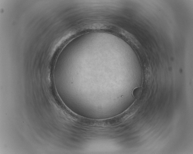 X0000074300727200609151941