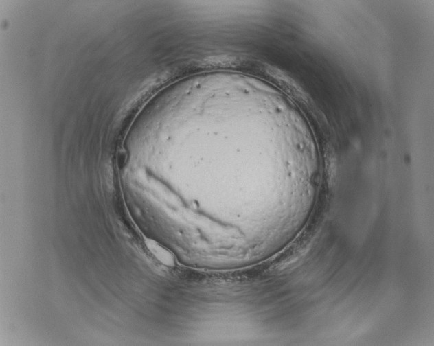 X0000074300729200609151941