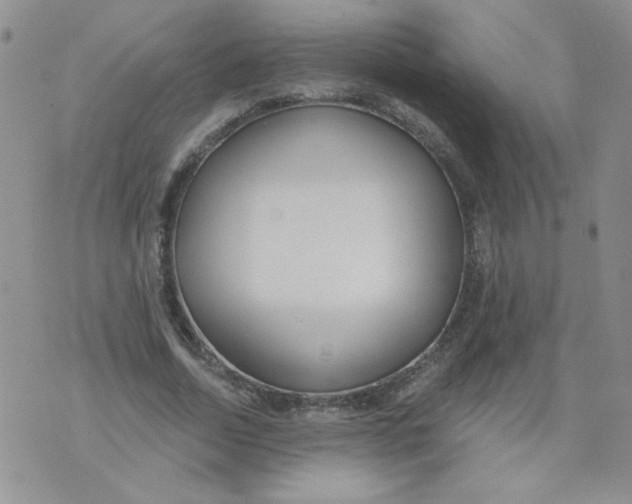 X0000074300730200609151941