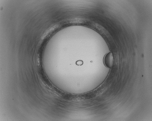 X0000074300731200609151941