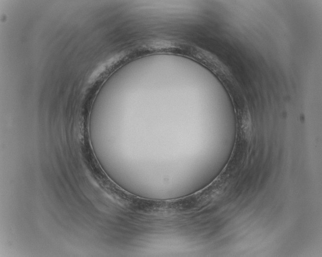 X0000074300732200609151941